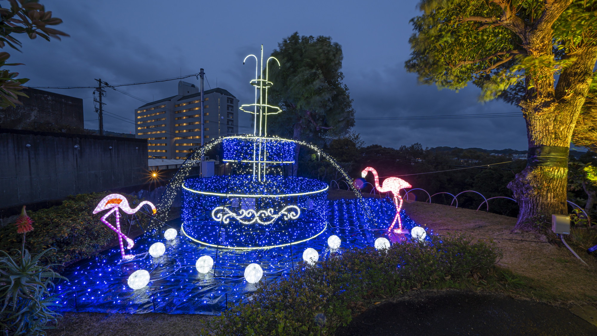 プライベートイルミネーション『イルミナスオーシャン』