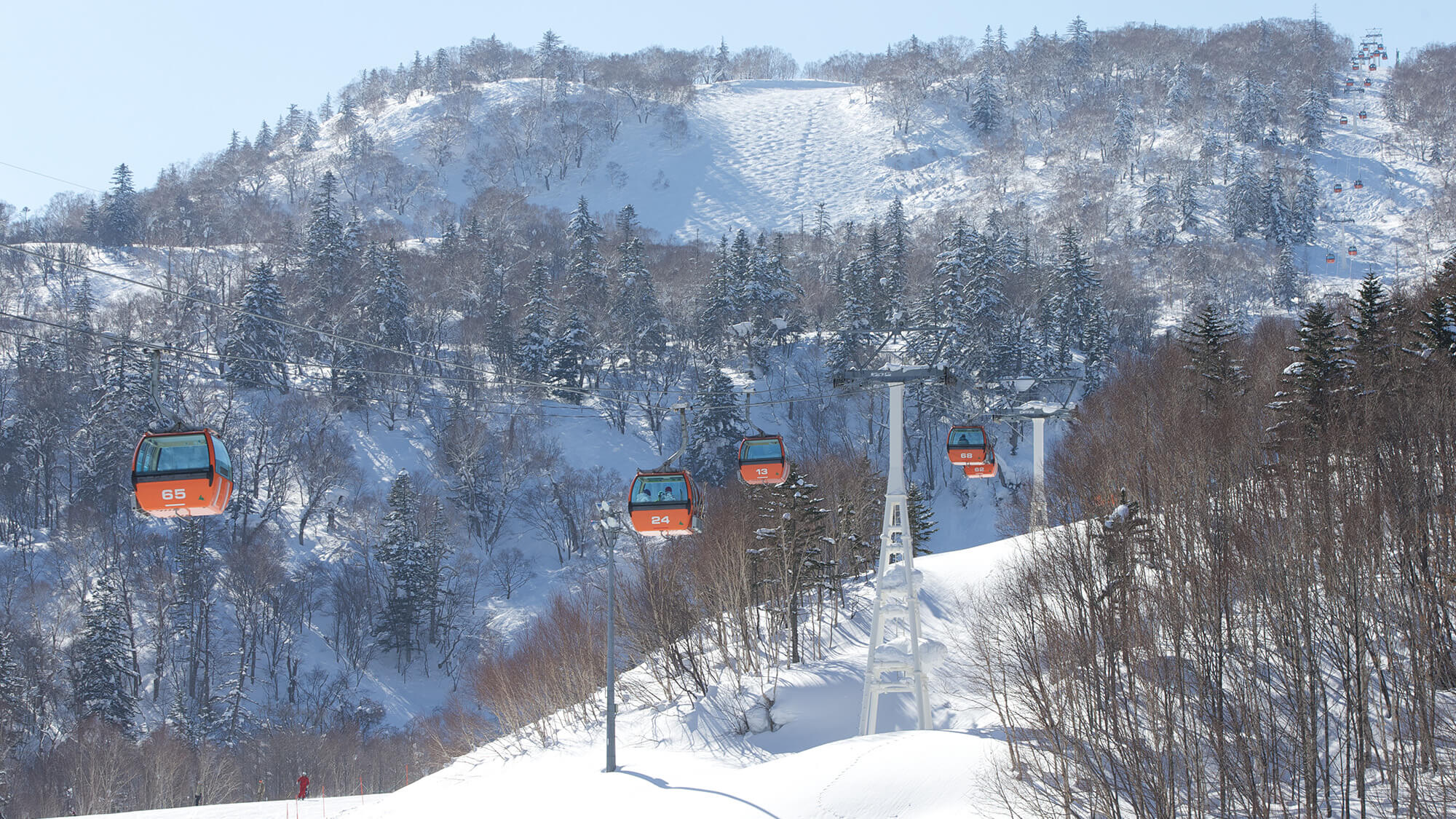 【札幌国際スキー場】＜有料シャトルバスで約1時間16分＞パウダースノーと広大なゲレンデが自慢