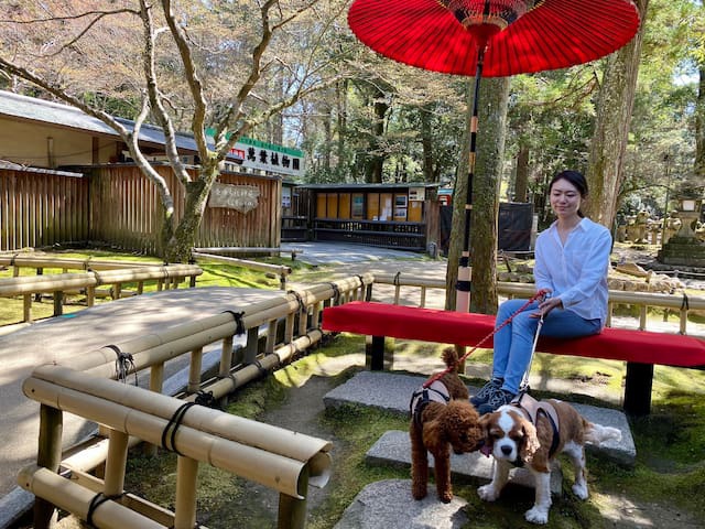 【3密回避】１１０㎡バケーションハウス 一棟貸切、奈良町まで徒歩5分、奈良公園まで15分、ワンちゃん