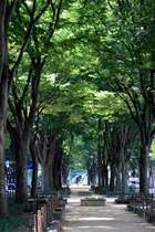 【仙台トク旅適用】30％OFF　素泊りプラン　