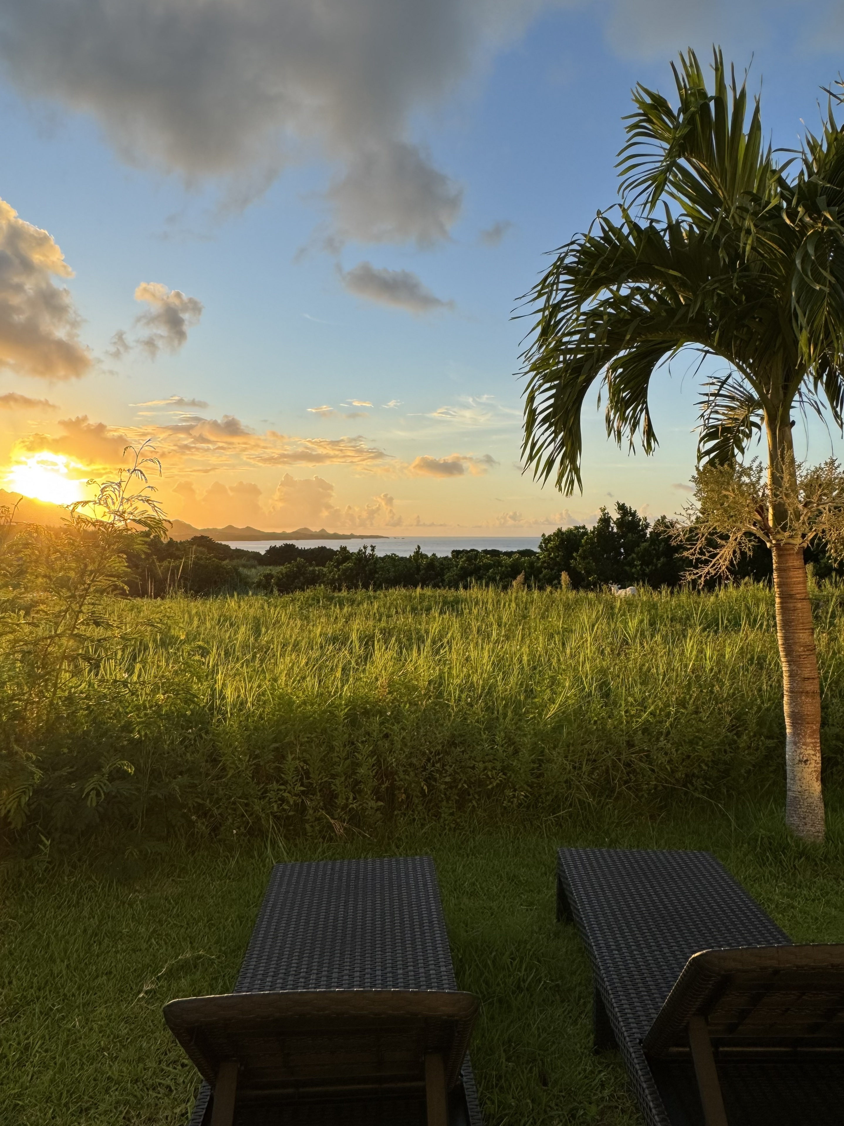 リビングからの景色