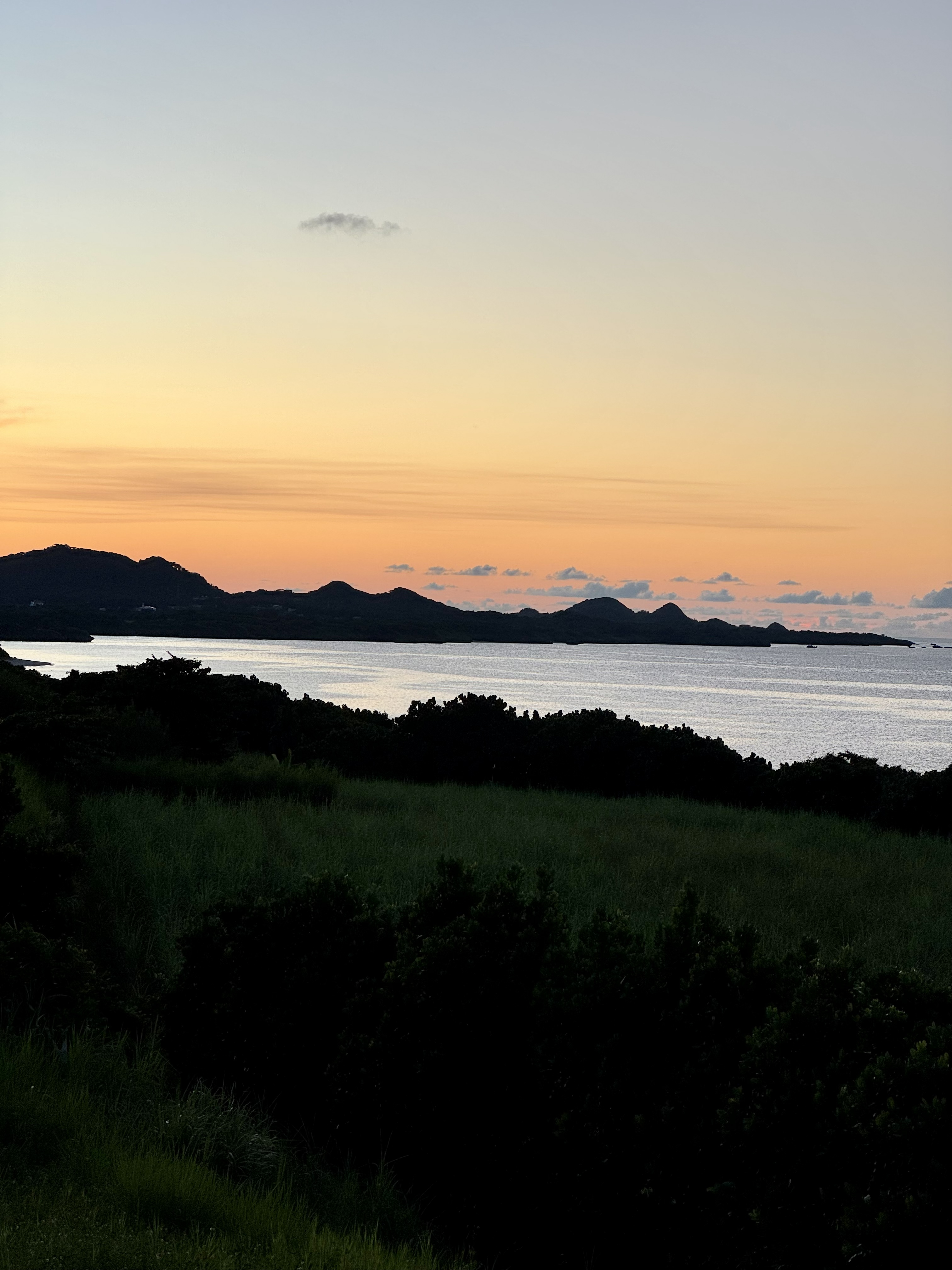 屋上からの景色