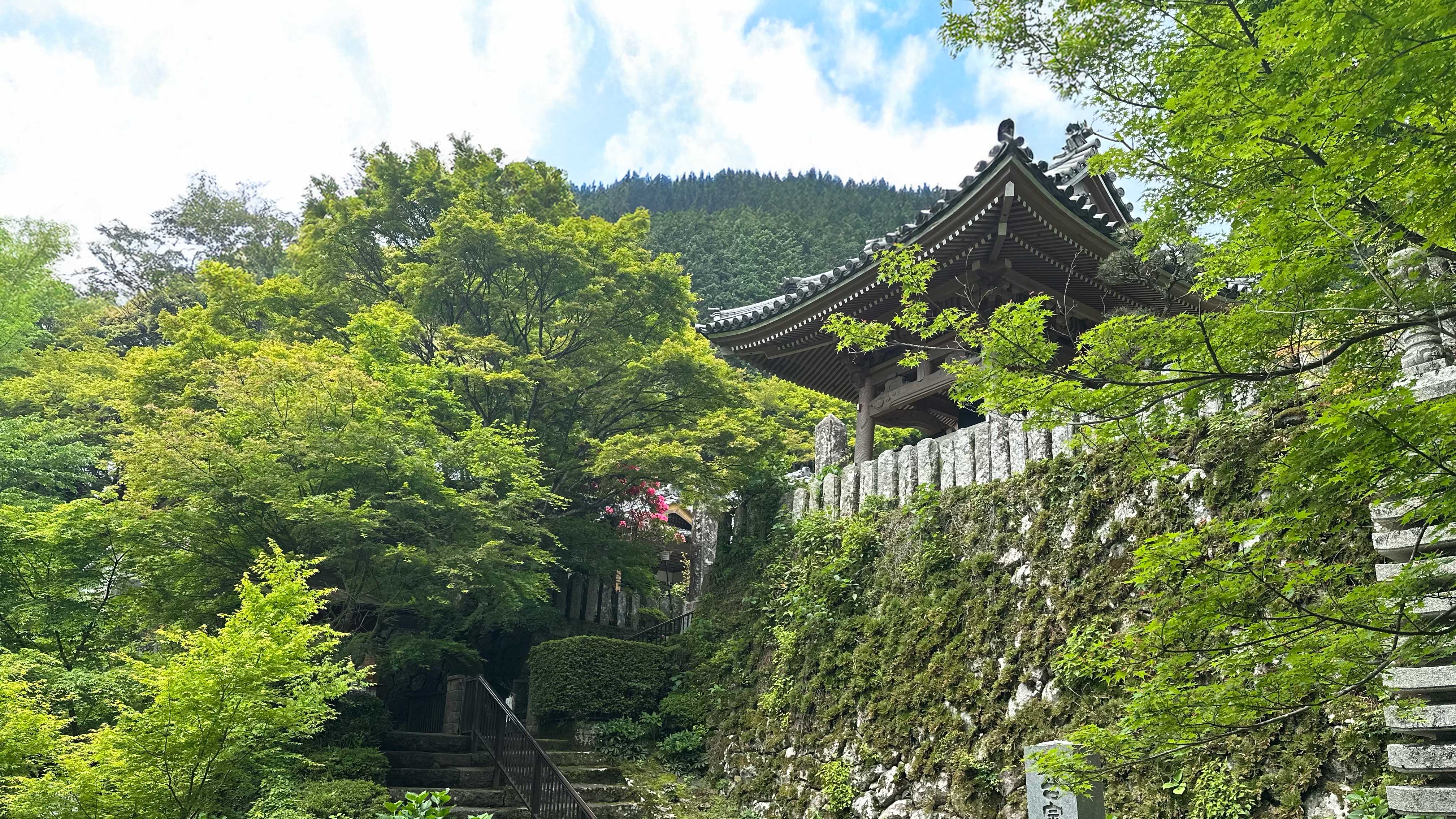 両子寺（ふたごじ）：車で約20分。県内屈指の紅葉スポットとして春の新緑、秋の紅葉と名所。
