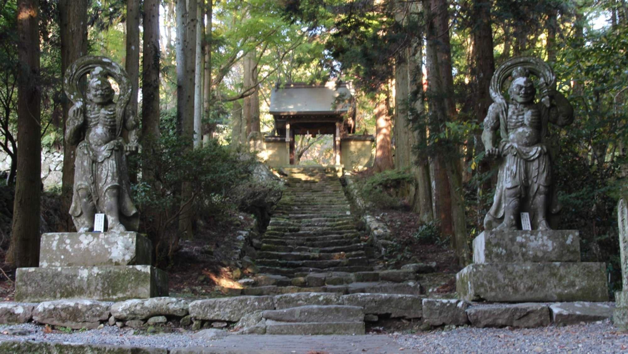 両子寺（ふたごじ）：車で約20分。県内屈指の紅葉スポットとして春の新緑、秋の紅葉と名所。