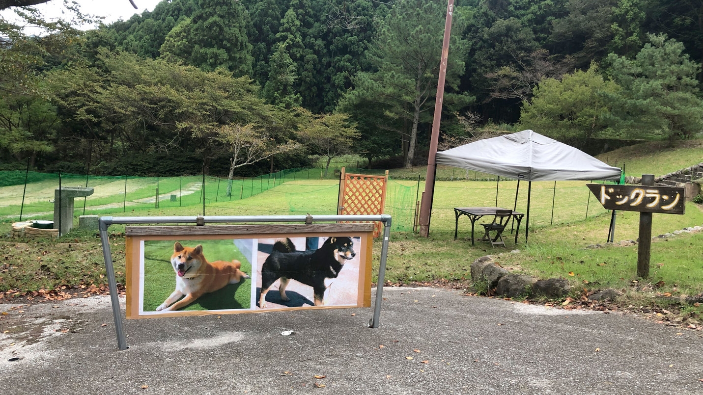 【ペット同伴/愛犬と一緒に旅行】料理長のお任せ特選懐石☆旬食材や姫島車海老のお造りも入った満足プラン