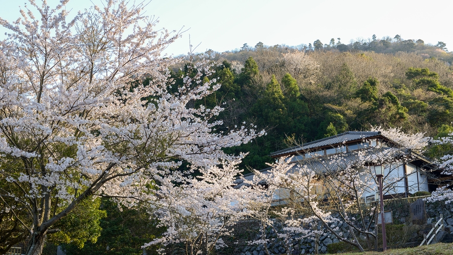 *【外観】自然の美しい山の中の温泉旅館。心安らぐひと時をお過ごしください。