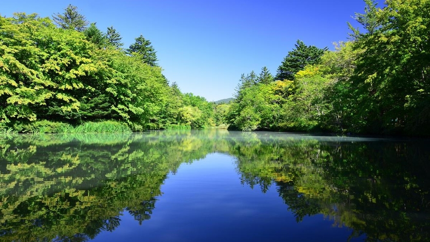 軽井沢　雲場池（春・夏）