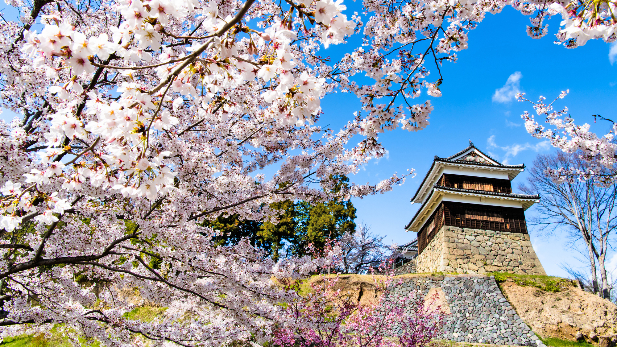 上田温泉祥園 寿久庵 宿泊予約 楽天トラベル 上田温泉祥園 寿久庵 宿泊予約 楽天トラベル