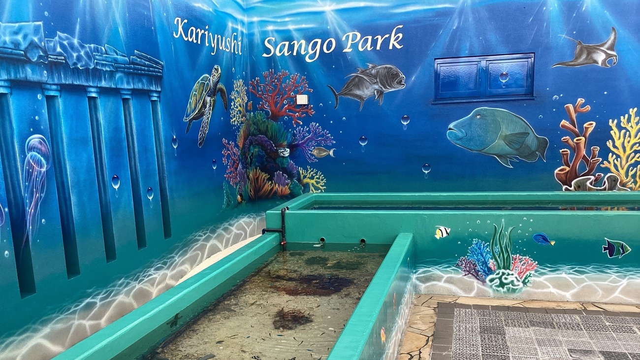 【沖縄の旅はリゾートで満喫】探検！潮だまりの生き物たち 〜ナマコ・ヒトデとの出会い〜＜朝食付＞