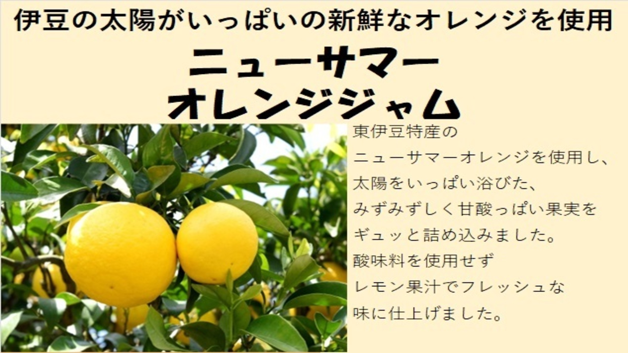 伊豆の太陽がいっぱいの新鮮なオレンジを使用　ニューサマーオレンジジャム
