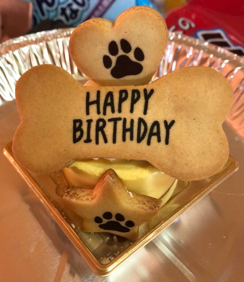 【ワンちゃんバースデープラン】ワンちゃんのお誕生日ケーキ付プラン_素泊まり(ワンちゃん2匹)