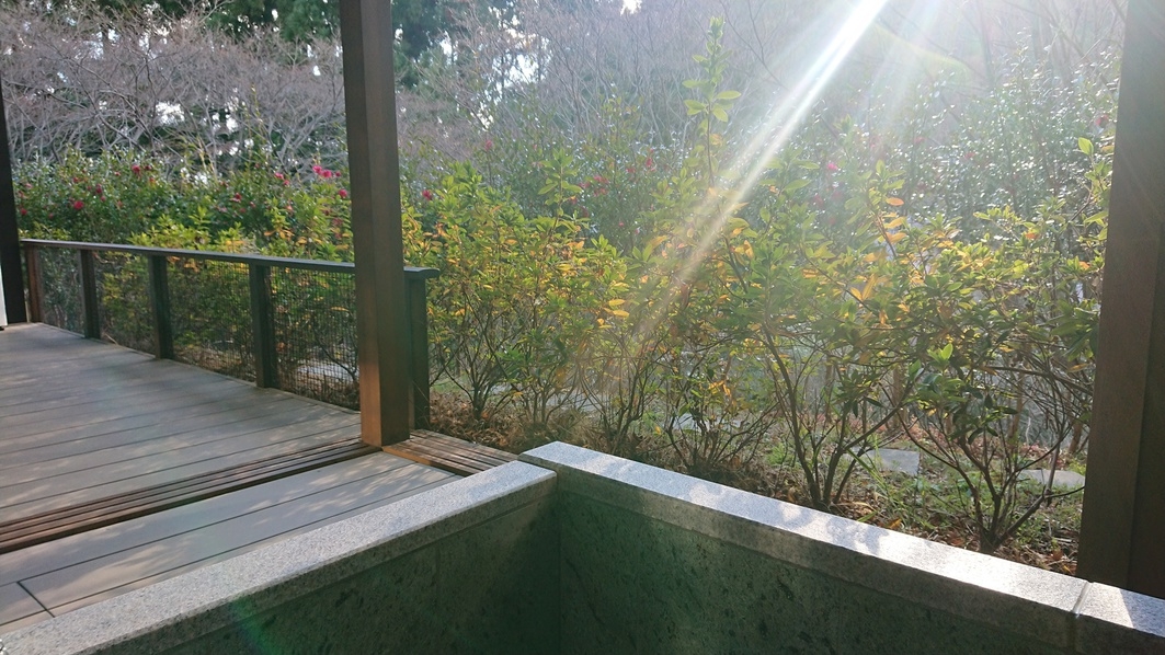 【ペットと一緒プラン】大切な家族と過ごす露天風呂付ペットルーム和洋室【朝食付】（PP1）