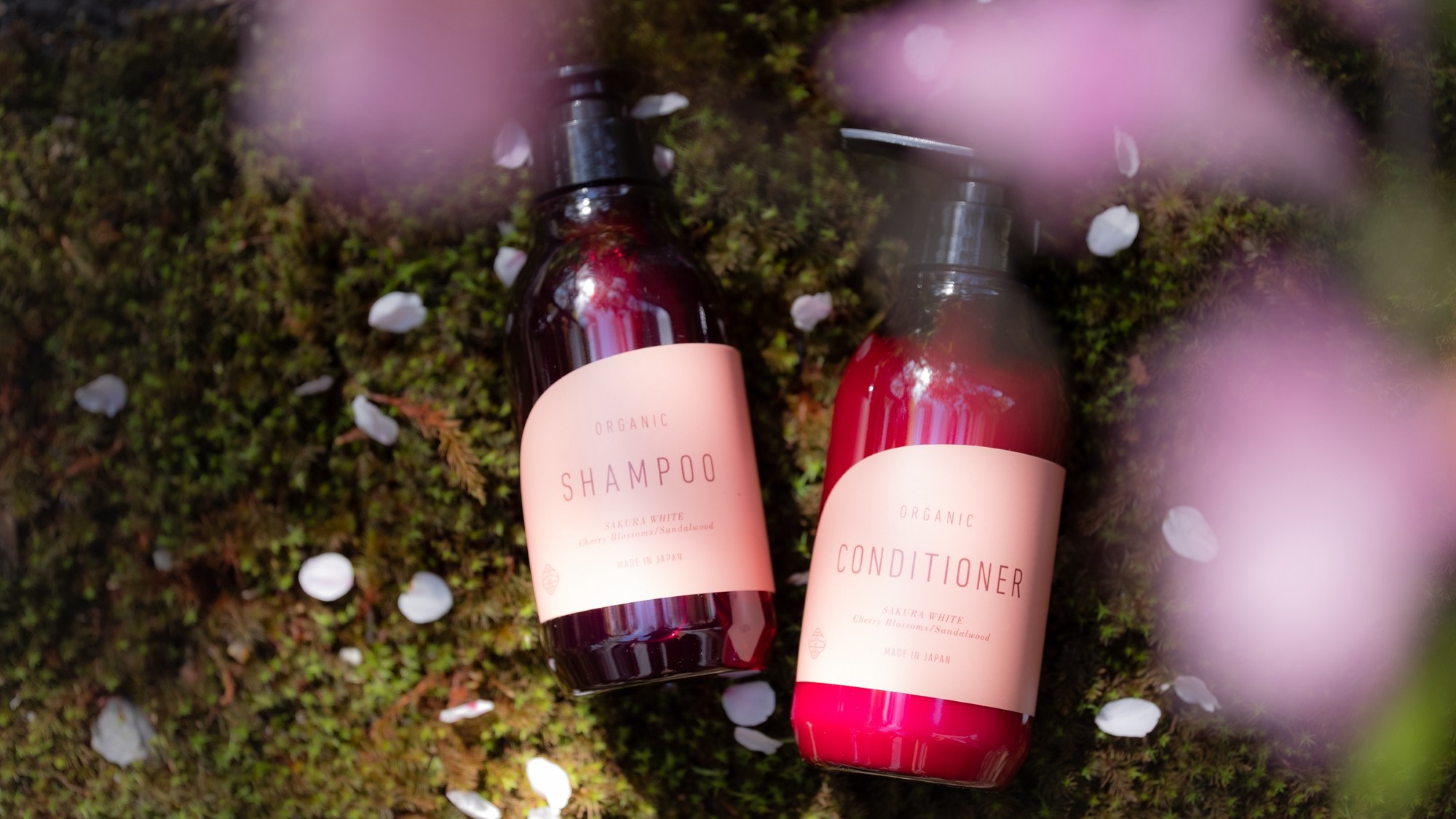 〜旅の余韻を、ふふ京都の記憶とともに〜 ふふ京都5周年記念プラン／懐石料理 レイトタイム20：30