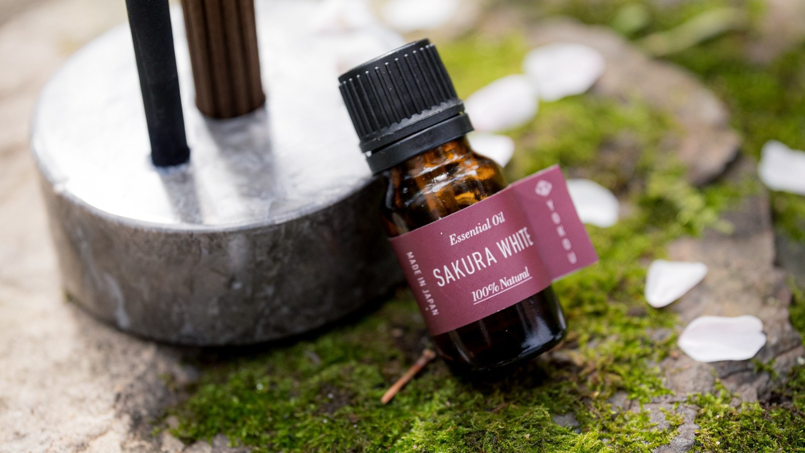 〜旅の余韻を、ふふ京都の記憶とともに〜 ふふ京都5周年記念プラン／懐石料理 レイトタイム20：30