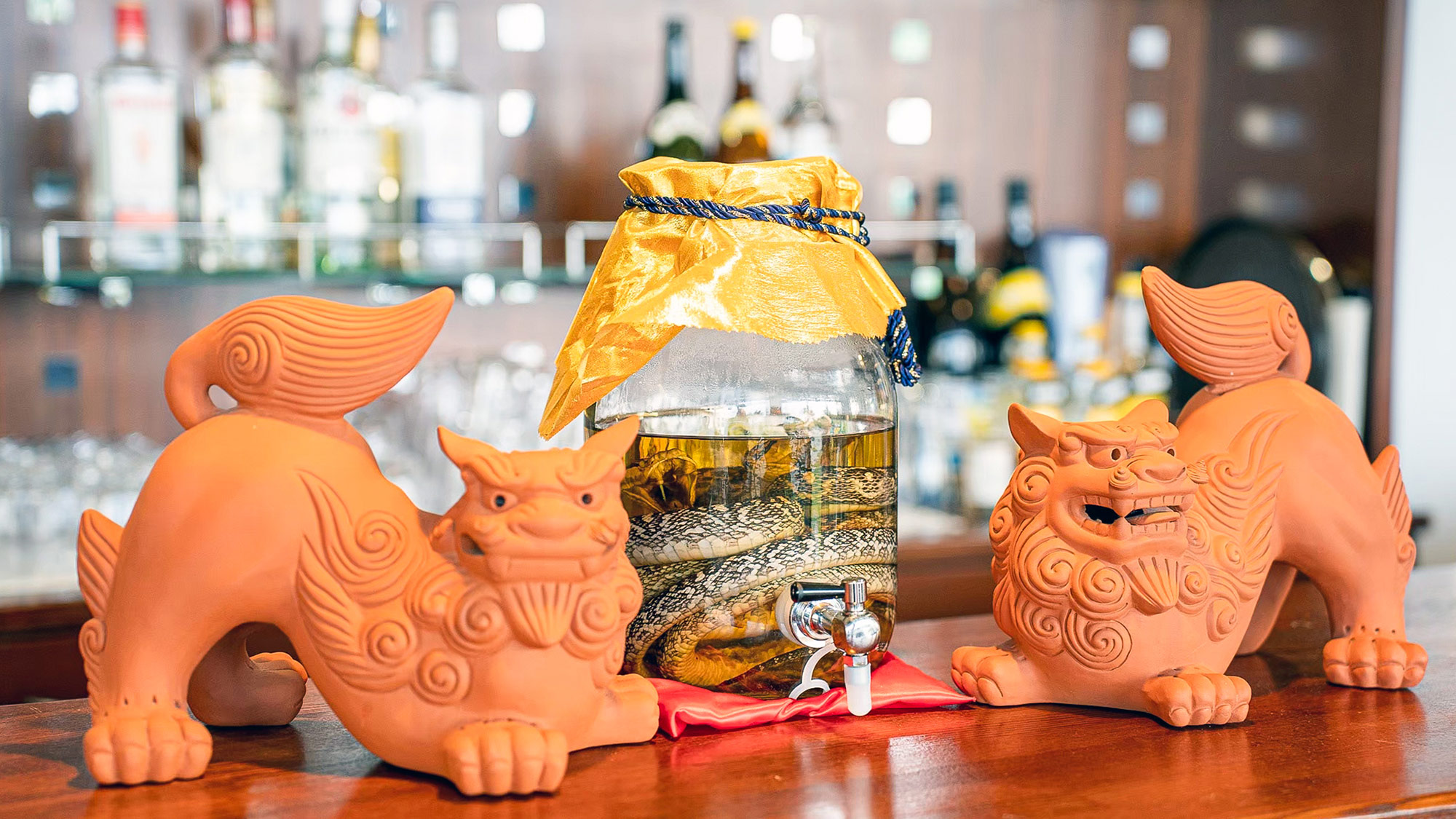 ・【レストラン／バー】勇気を出して！シーサーも驚く、秘蔵のハブ酒で島体験