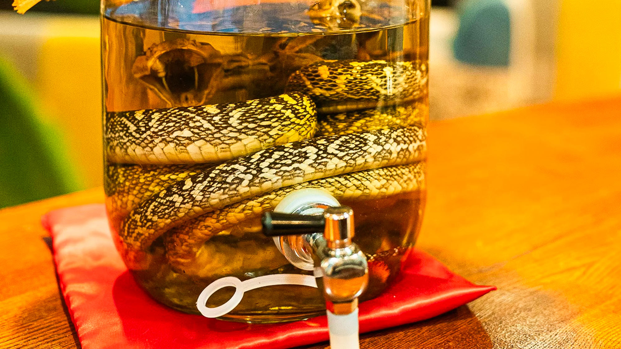 ・【レストラン】沖縄ならではの名物、伝統のハブ酒。旅の思い出に一杯いかがですか