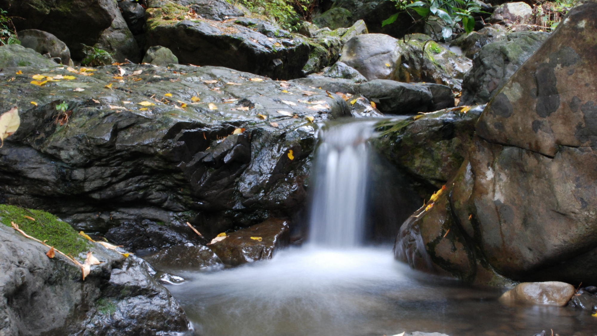 【周辺】耳に入るのはせせらぎと鳥の声。 ありのままの自然の中で過ごす非日常を満喫いただけます。