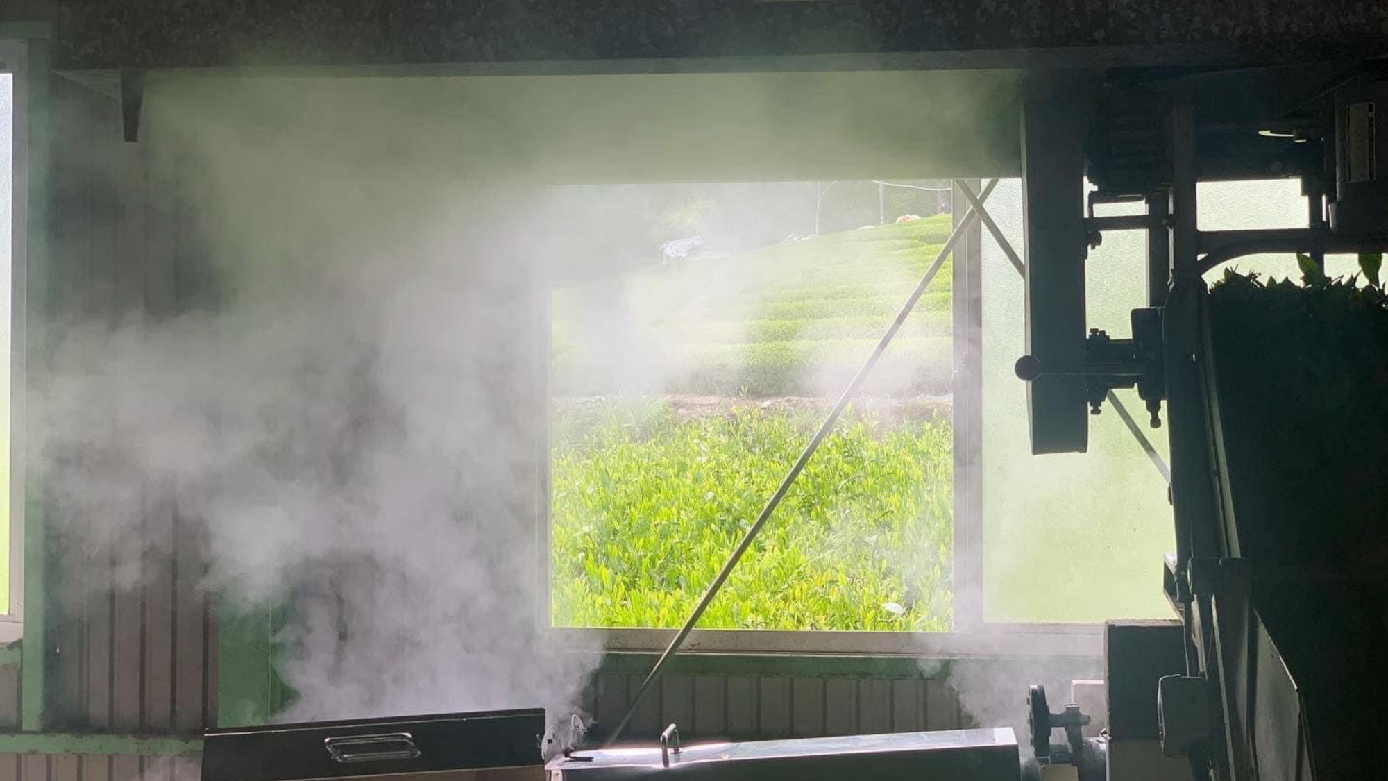 【自家製のお茶】お客様にお出しする創作料理を作る者が、お茶の収穫から仕上げまで行っております。