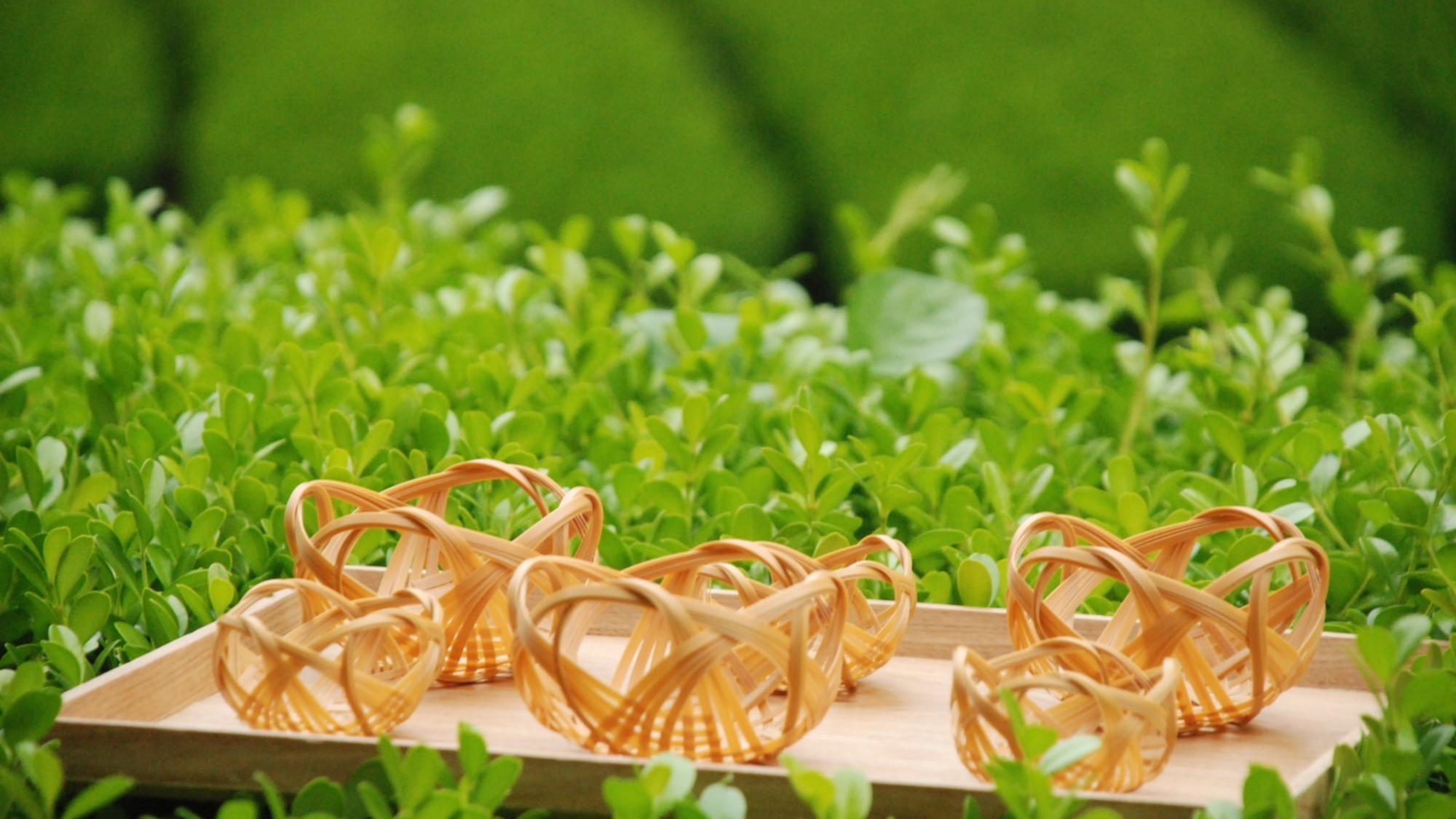 【オクシズ産のお土産】竹工房キコさんの繊細できめ細やかなカゴ・ピアス・イヤリング・チャーム