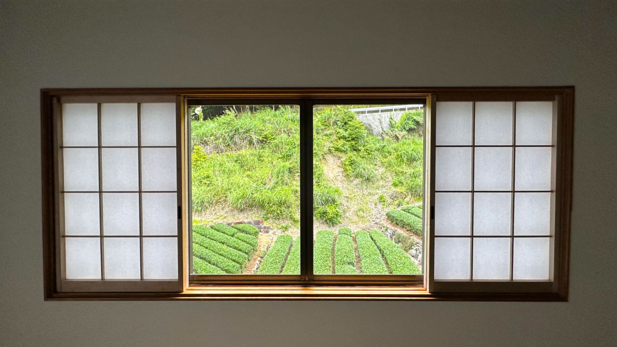 【窓からの景色】窓からお茶畑、深緑の山々が見渡すことができます。