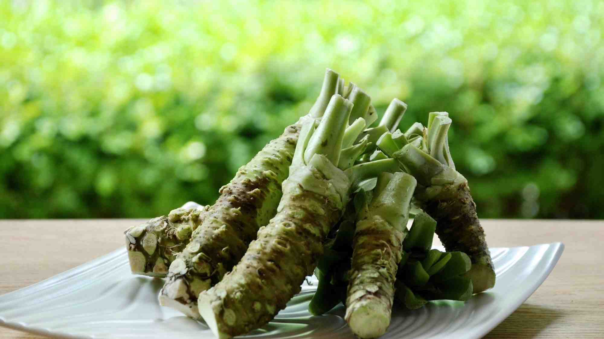【食材】ワサビ発祥の地　静岡市葵区有東木産の味わい深いワサビを使用しております。