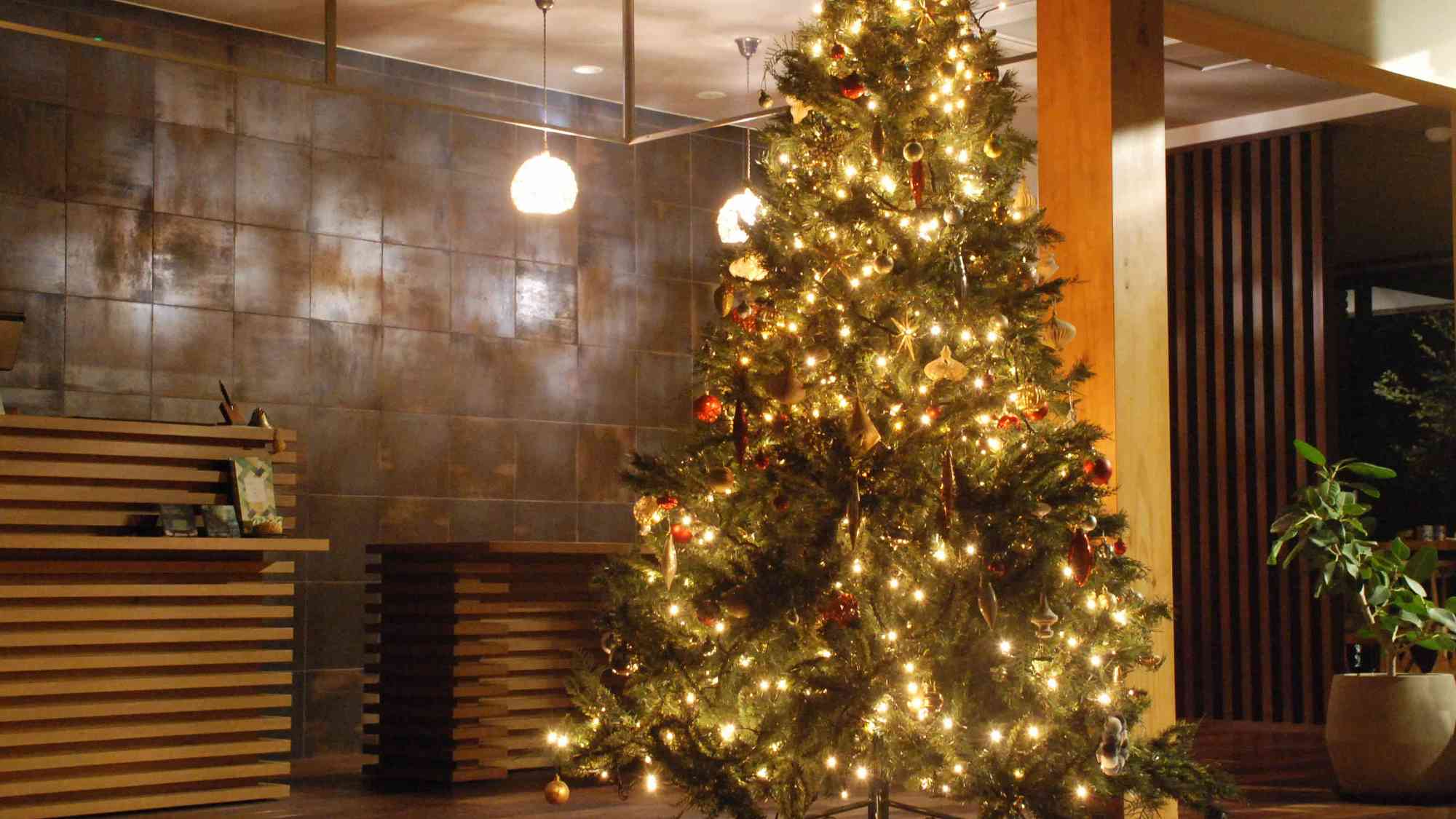 【エントランス】森のホテルのクリスマス　静寂の中の一味違ったクリスマスを&hellip;