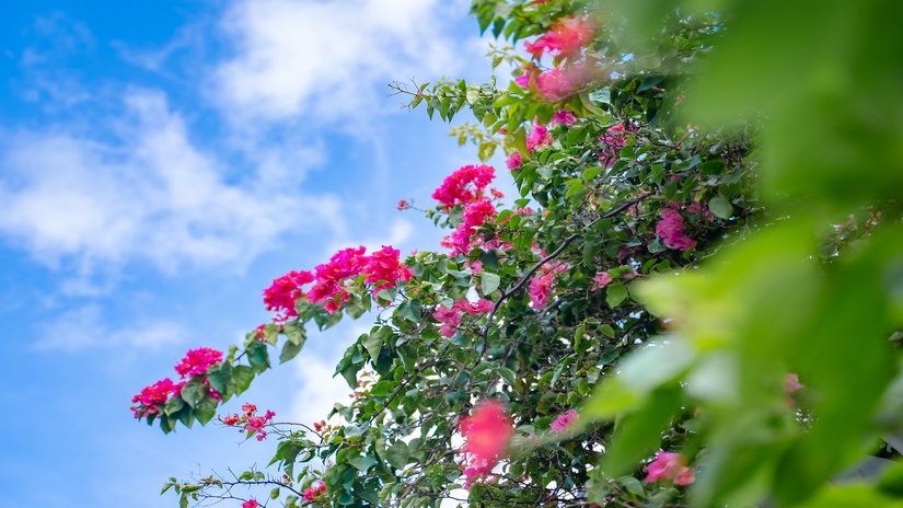 【楽天限定】1泊シンプルステイ