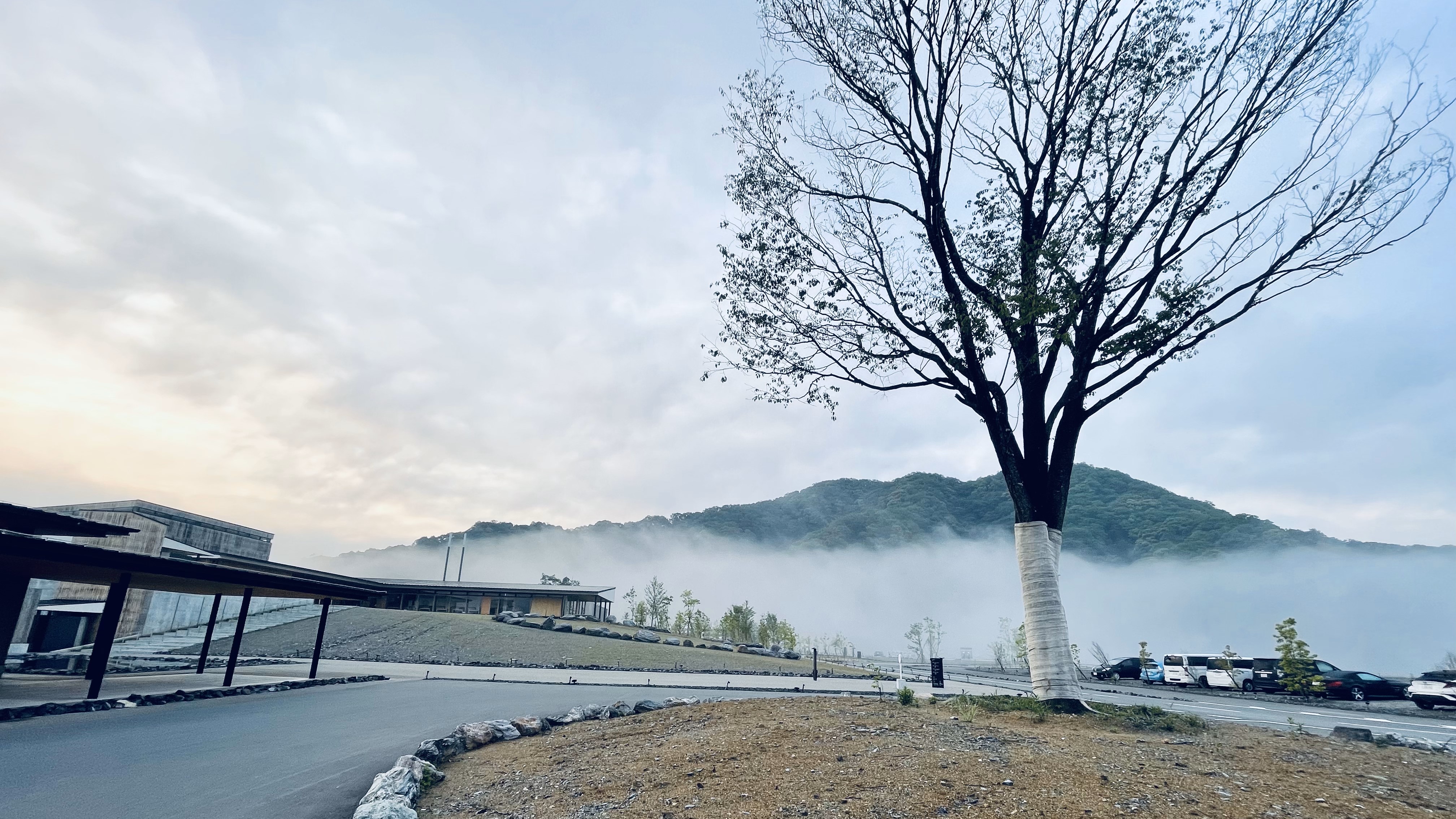 雲海