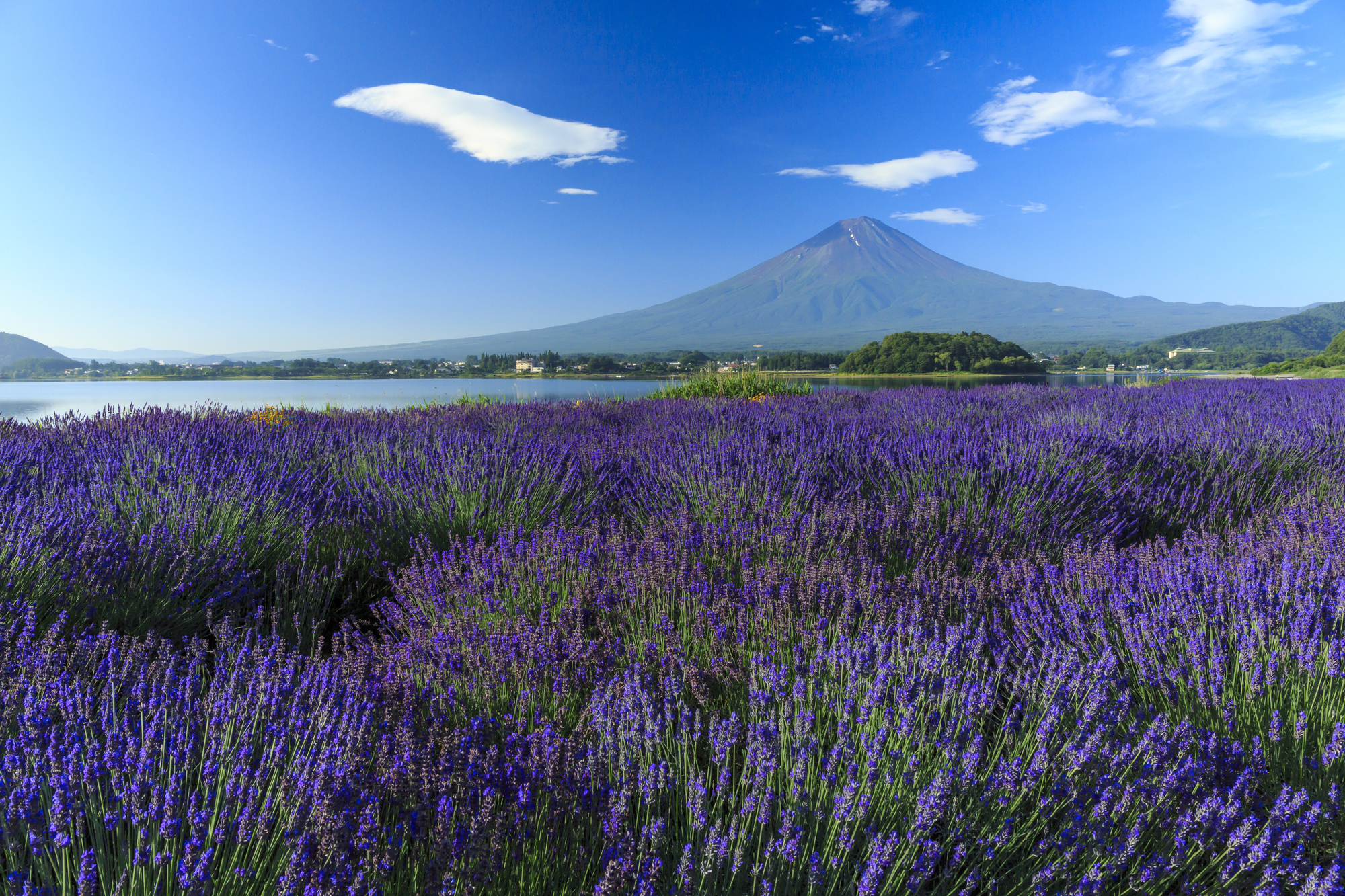 【当館から車で15分】大石公園