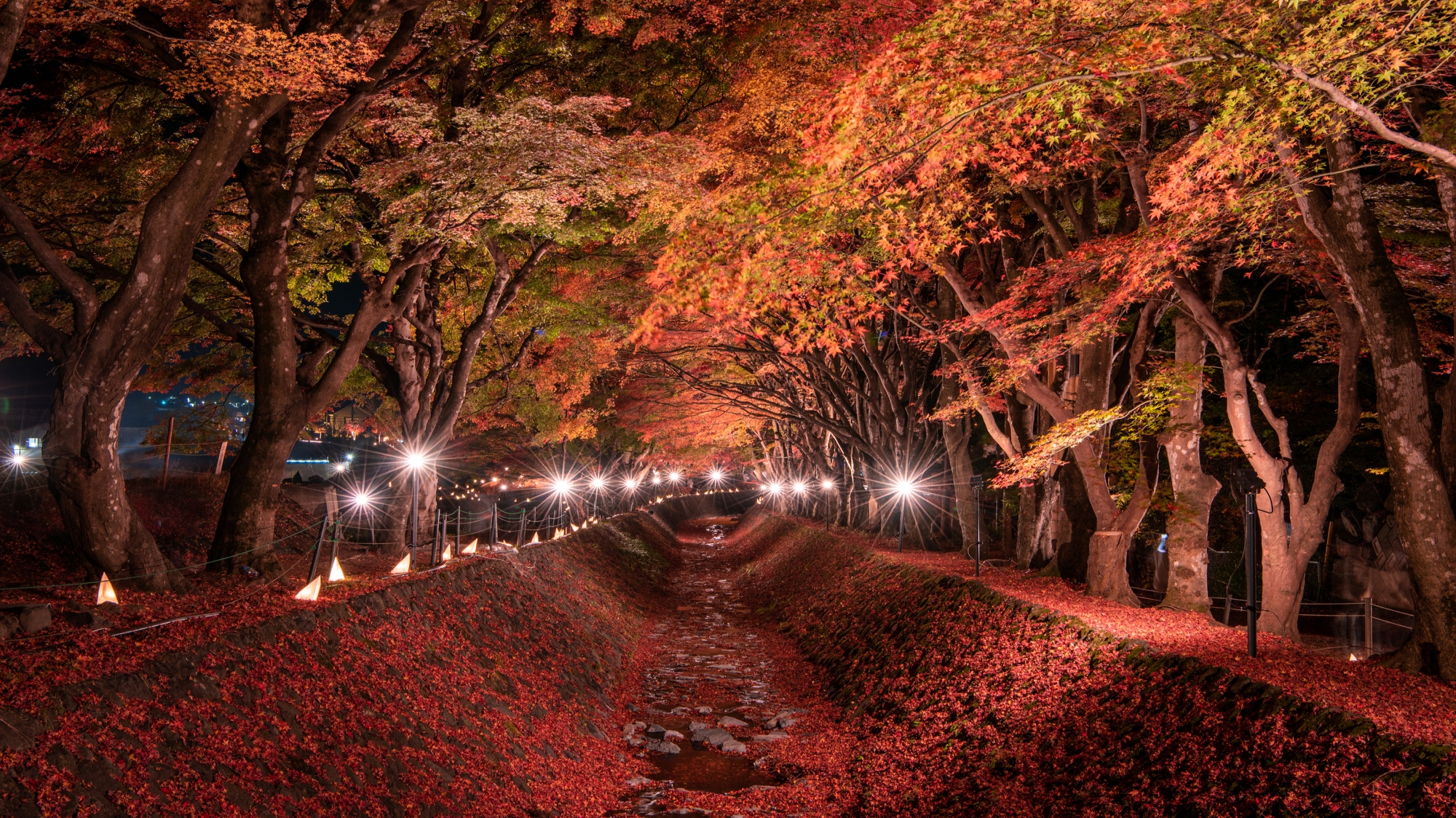 【当館から車で12分】河口湖もみじ回廊