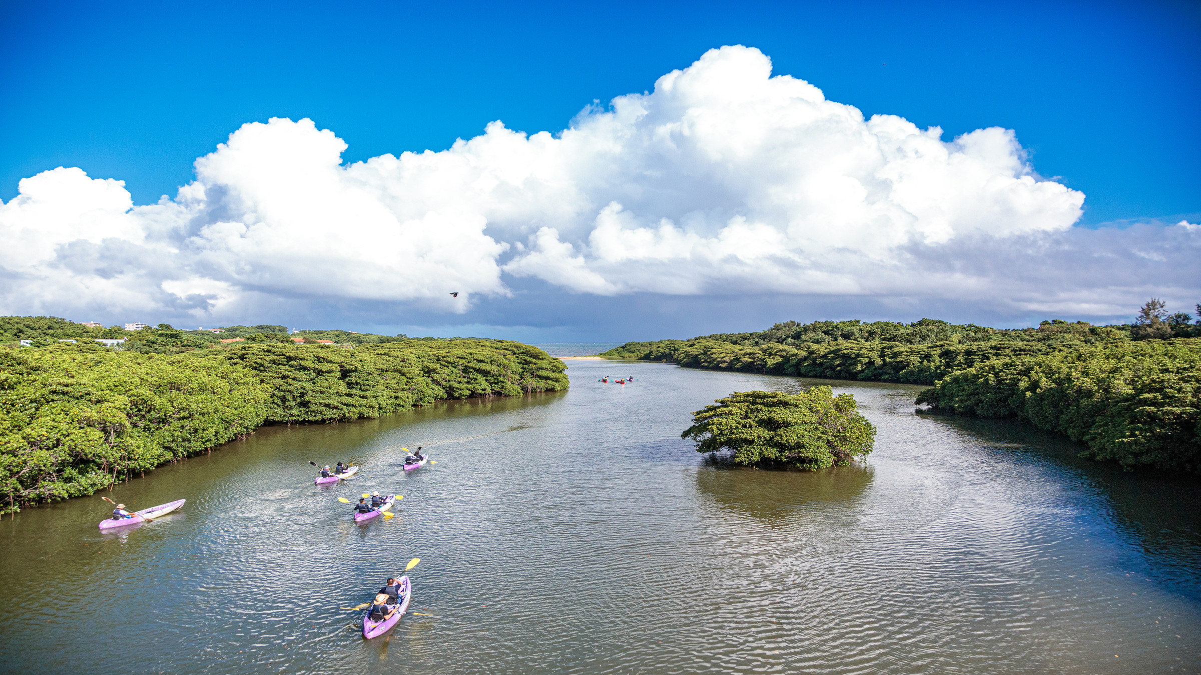 石垣島宮良川のカヌーツアー（体験）