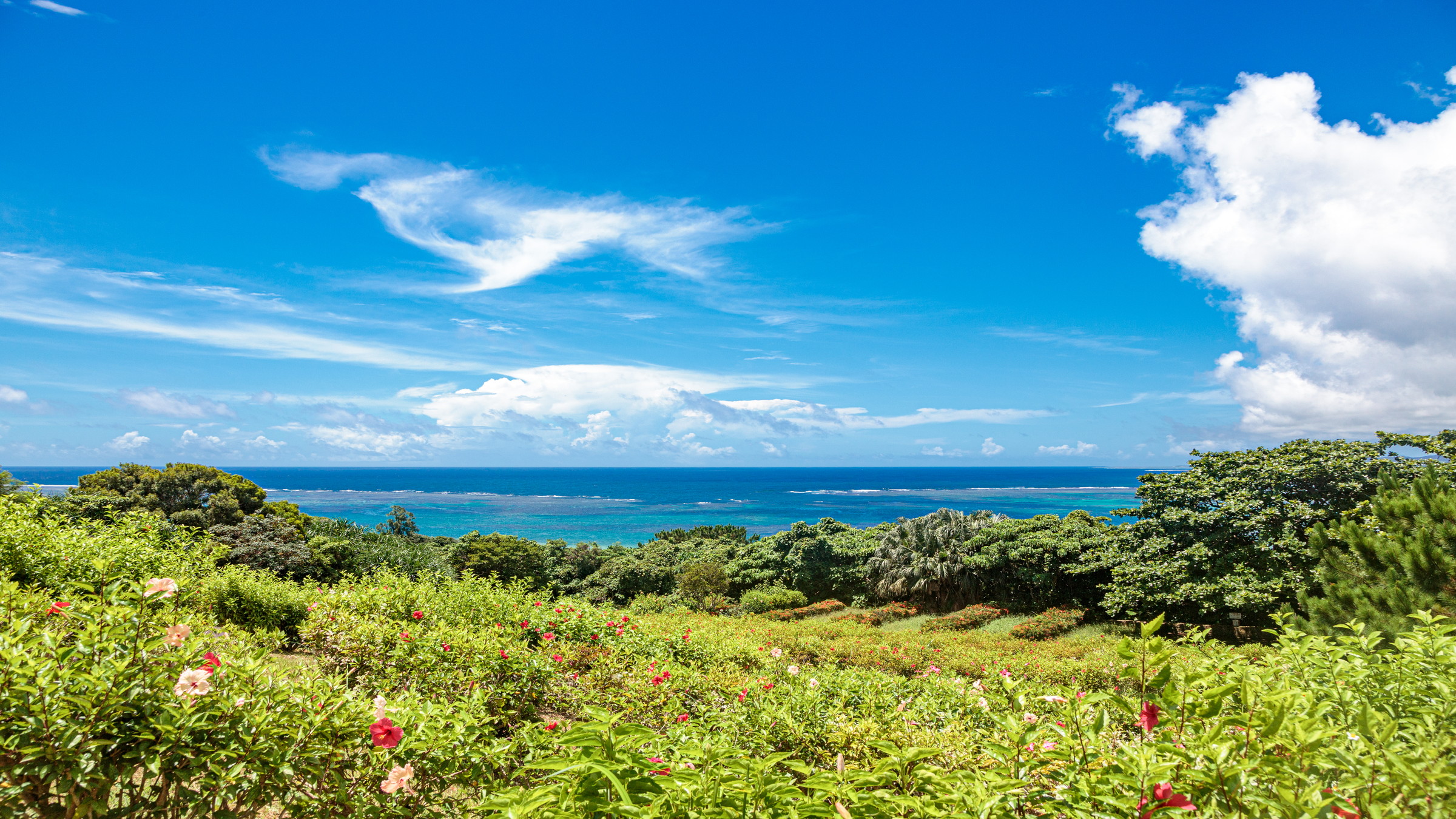 ずっと見ていられる石垣の海