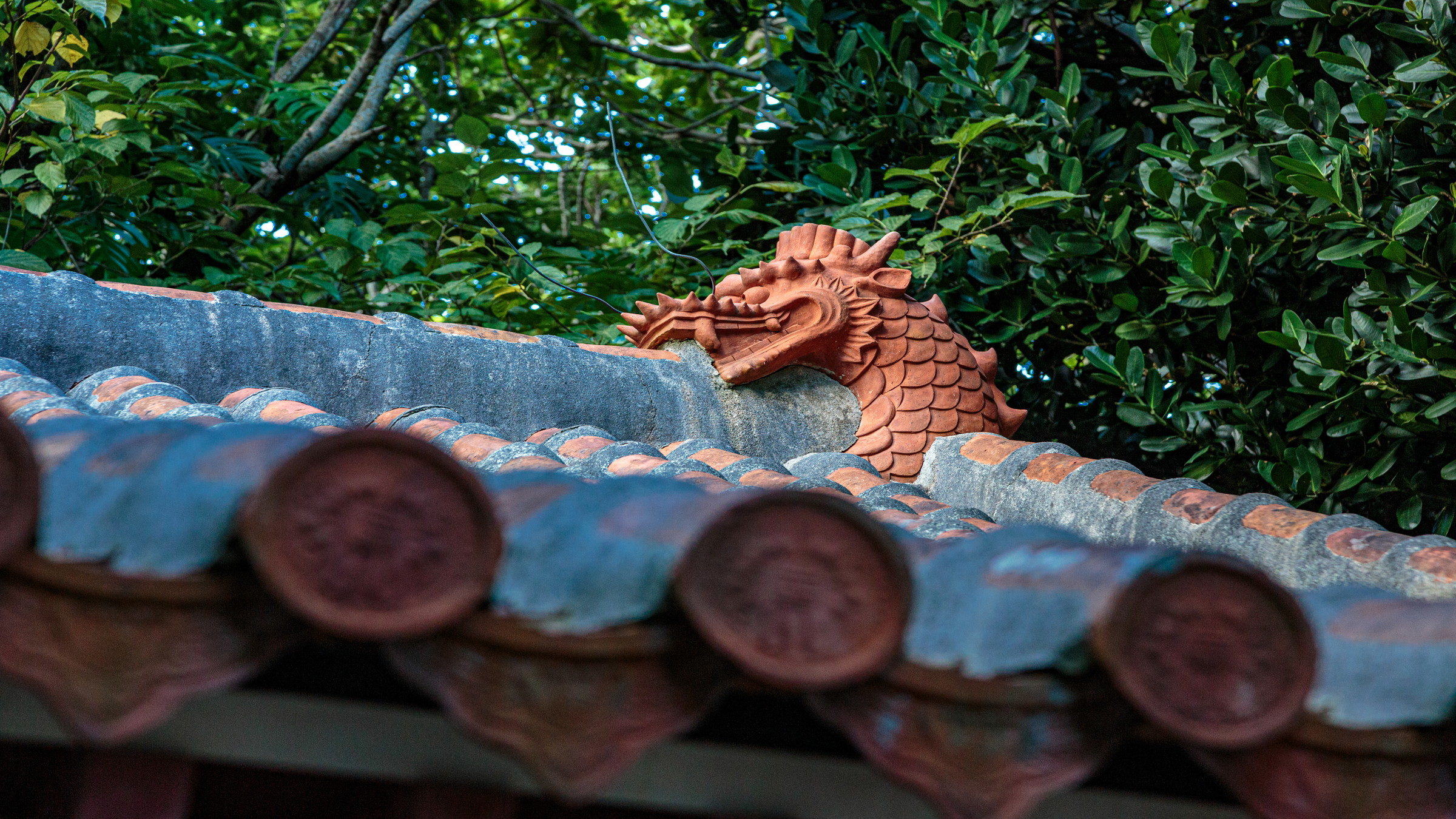 和風建築と琉球様式の独特な雰囲気が目を惹く権現堂