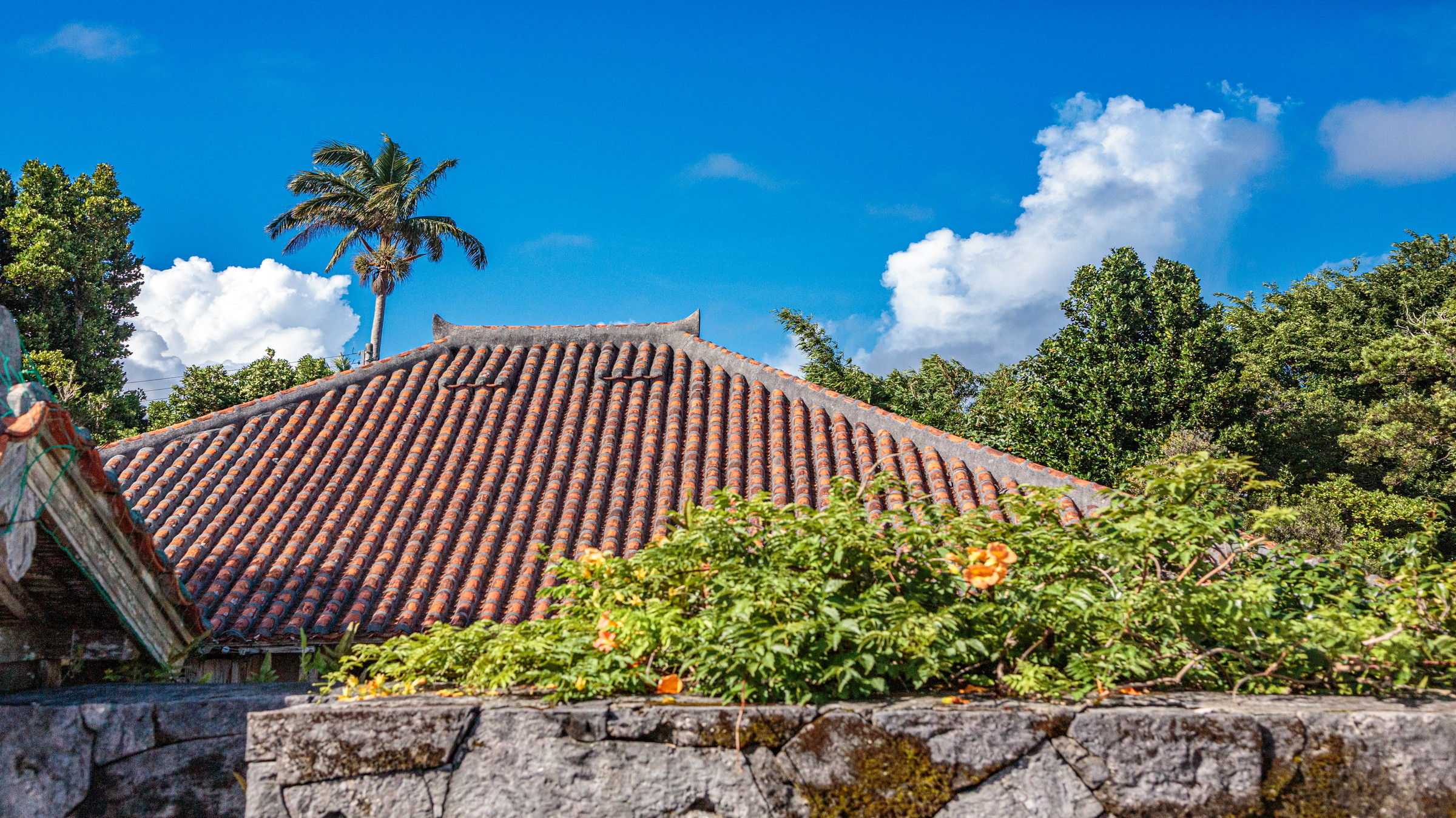 和風建築と琉球様式の独特な雰囲気が目を惹く権現堂
