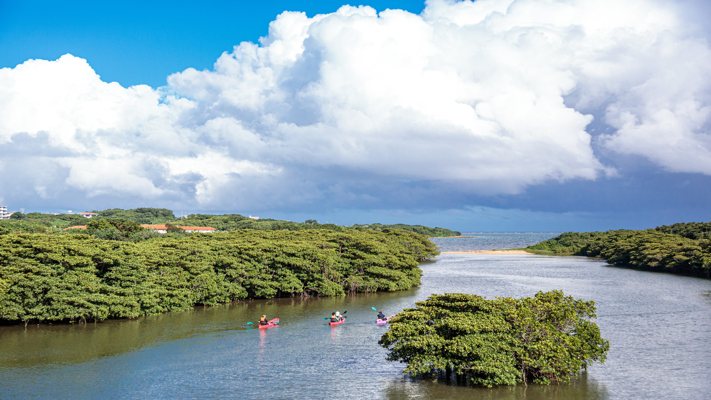 石垣島のカヌーツアー（宮良川）