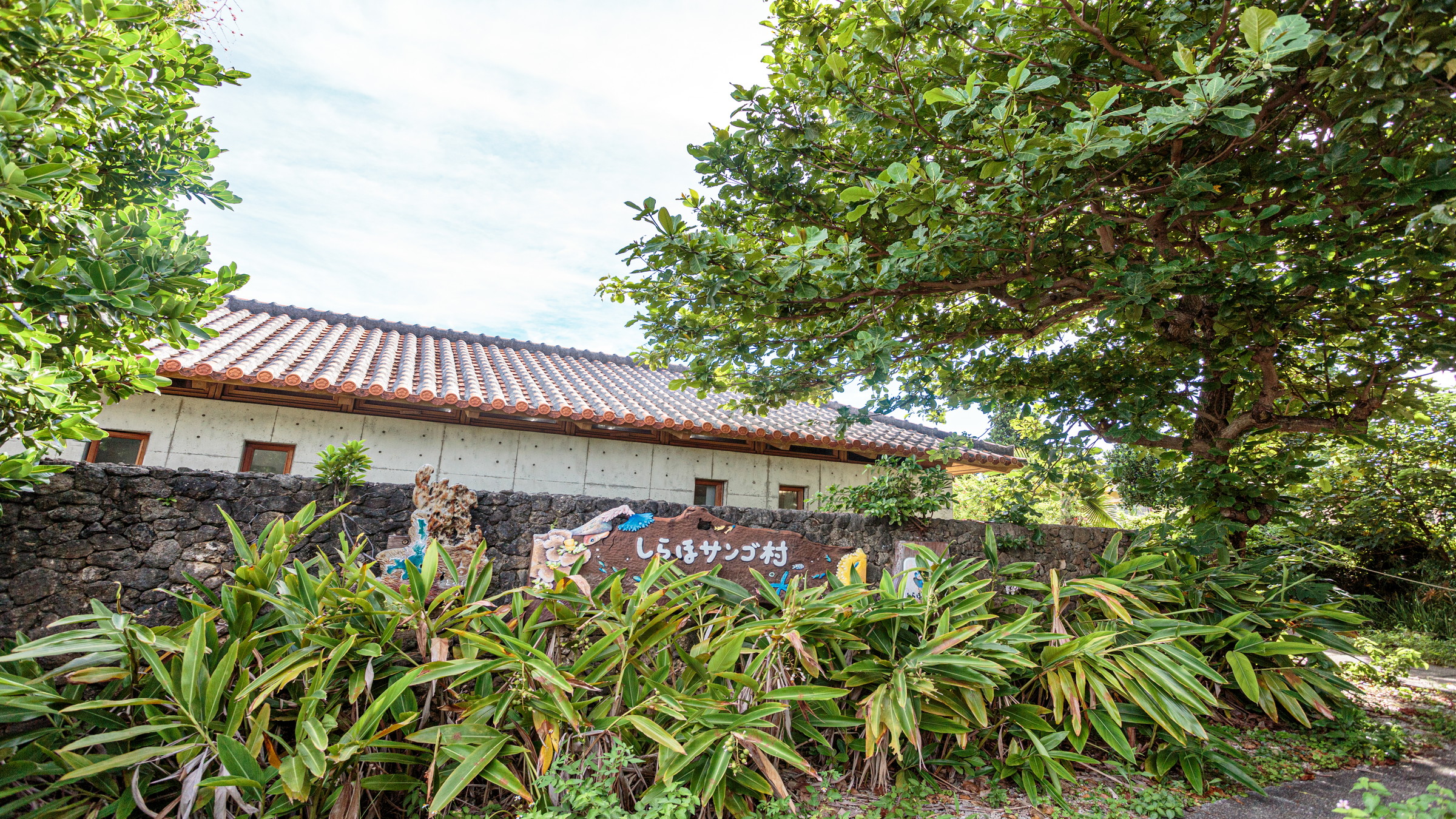 しらほサンゴ村