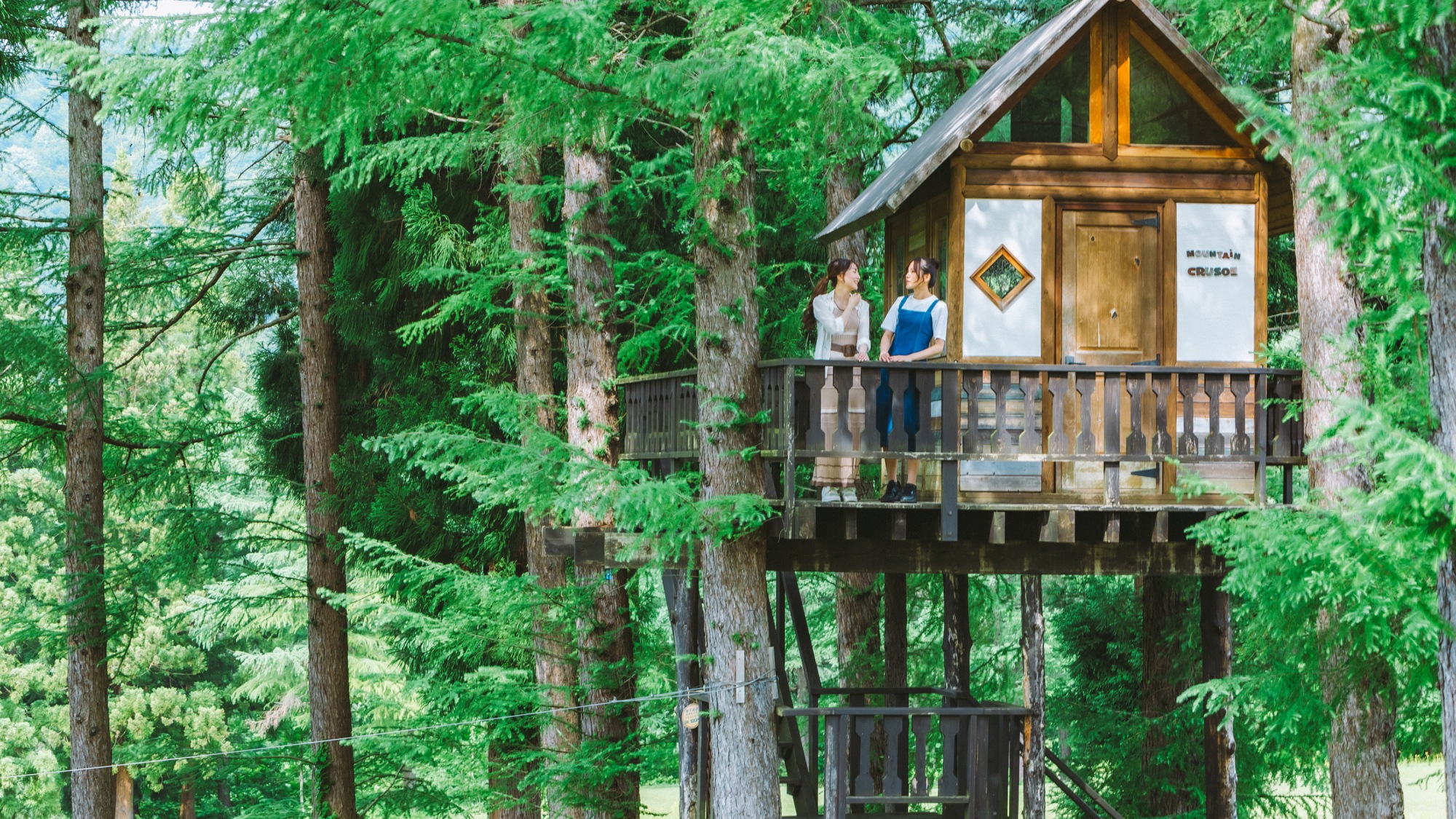 遊歩道の途中にあるツリーハウス。森のブランコやジップラインもあります。