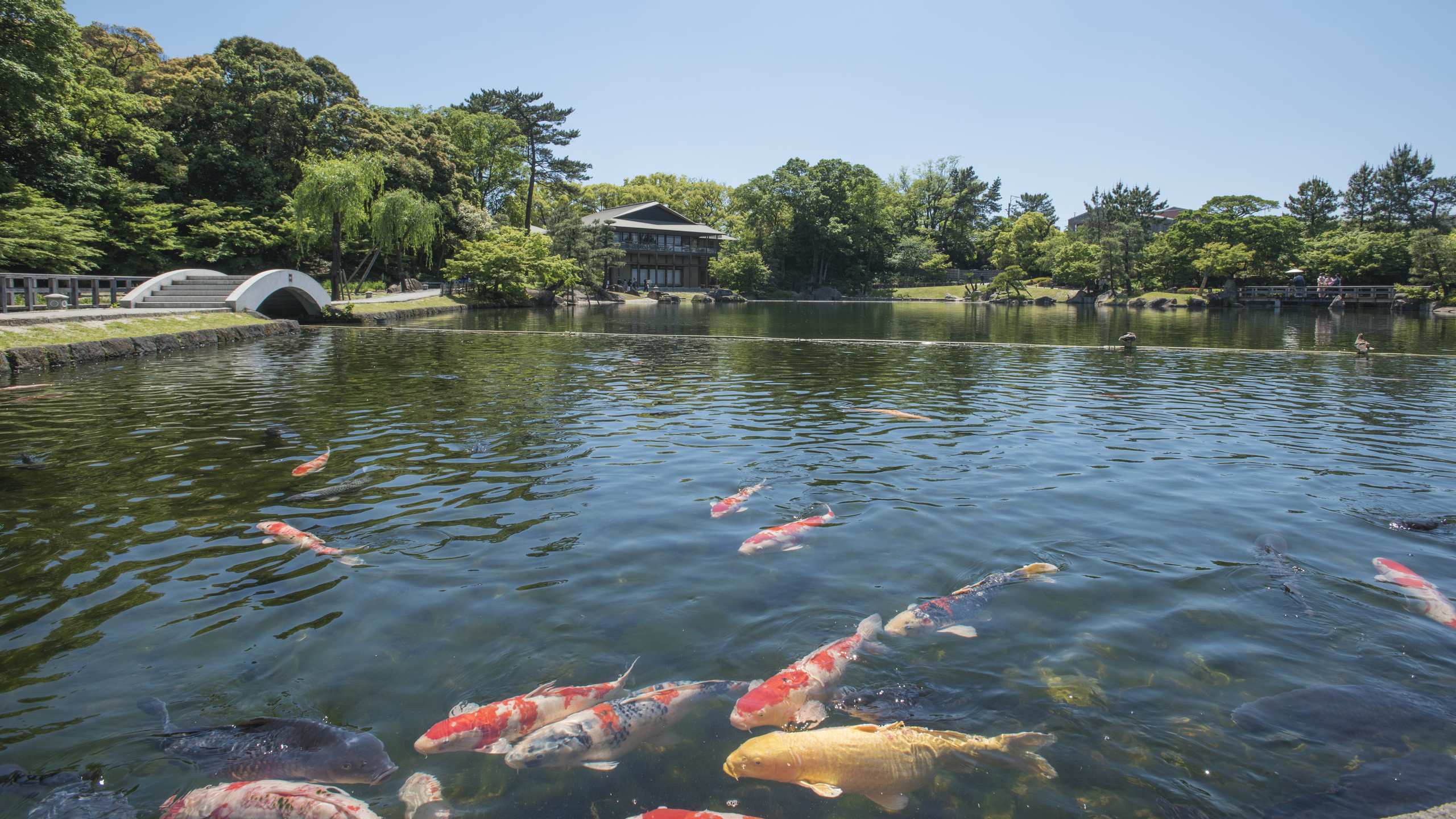 徳川園　龍仙湖