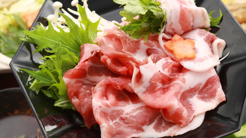 【リーズナブル】ビジネス歓迎・一人旅応援！料理少なめで値段を抑えた♪お手頃プラン