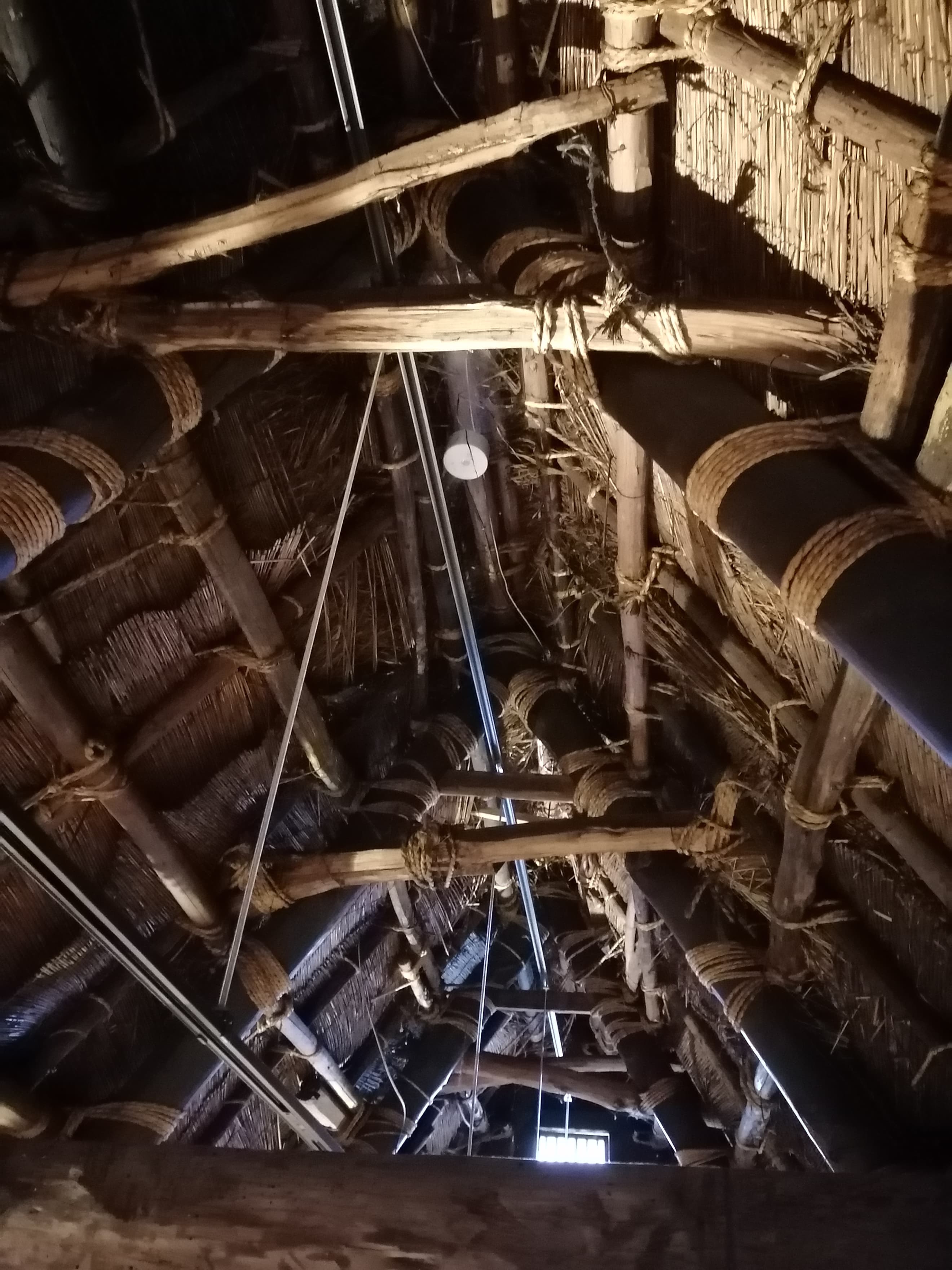 ３Fドミトリー　天井