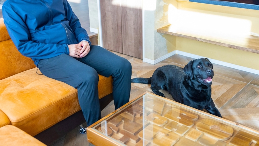 【素泊まりプラン】過ごし方自由！愛犬と一緒にシンプルステイ
