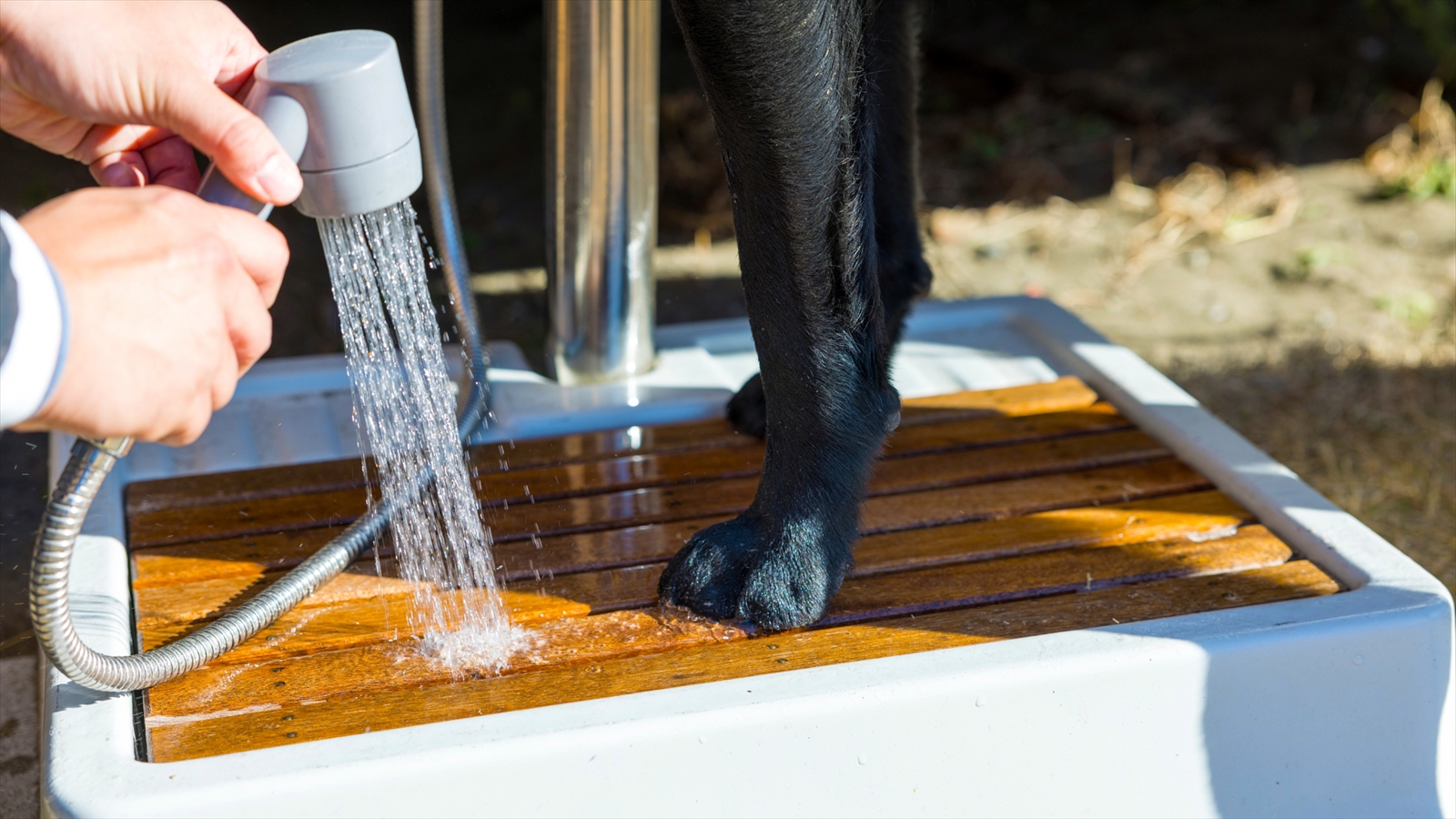 愛犬設備アニメティ1_外部温水シャワー