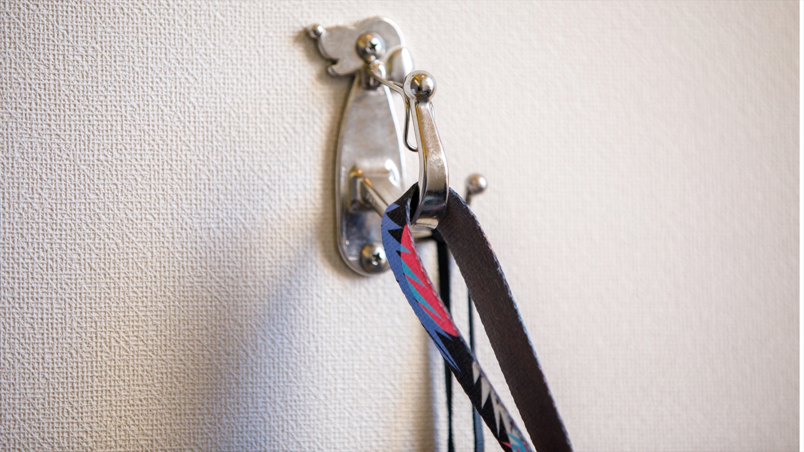 愛犬設備アニメティ2_リードフック