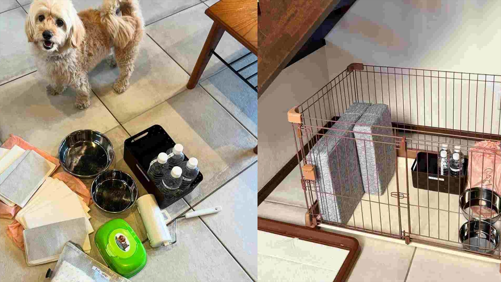 愛犬設備アニメティ4_室内愛犬用品