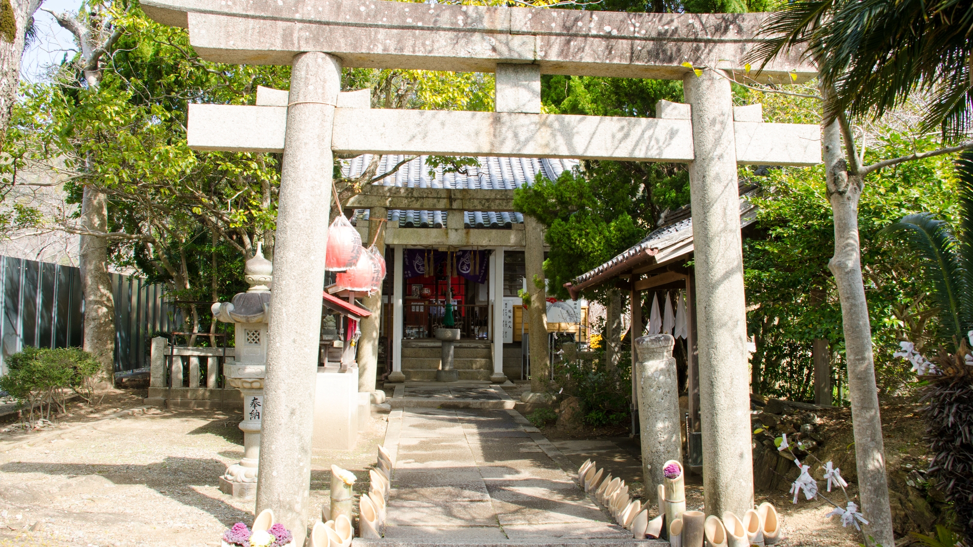 【当館から徒歩で15分】民話「阿波狸合戦」に登場する金長たぬきを祀った「金長神社」