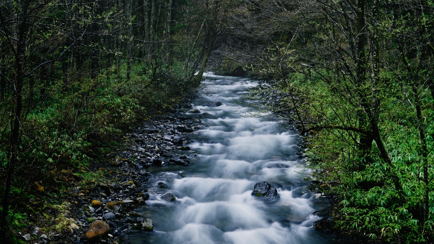 奈良井宿に滾々と流れる清らかな水は、周辺の山からの自然の恵み。