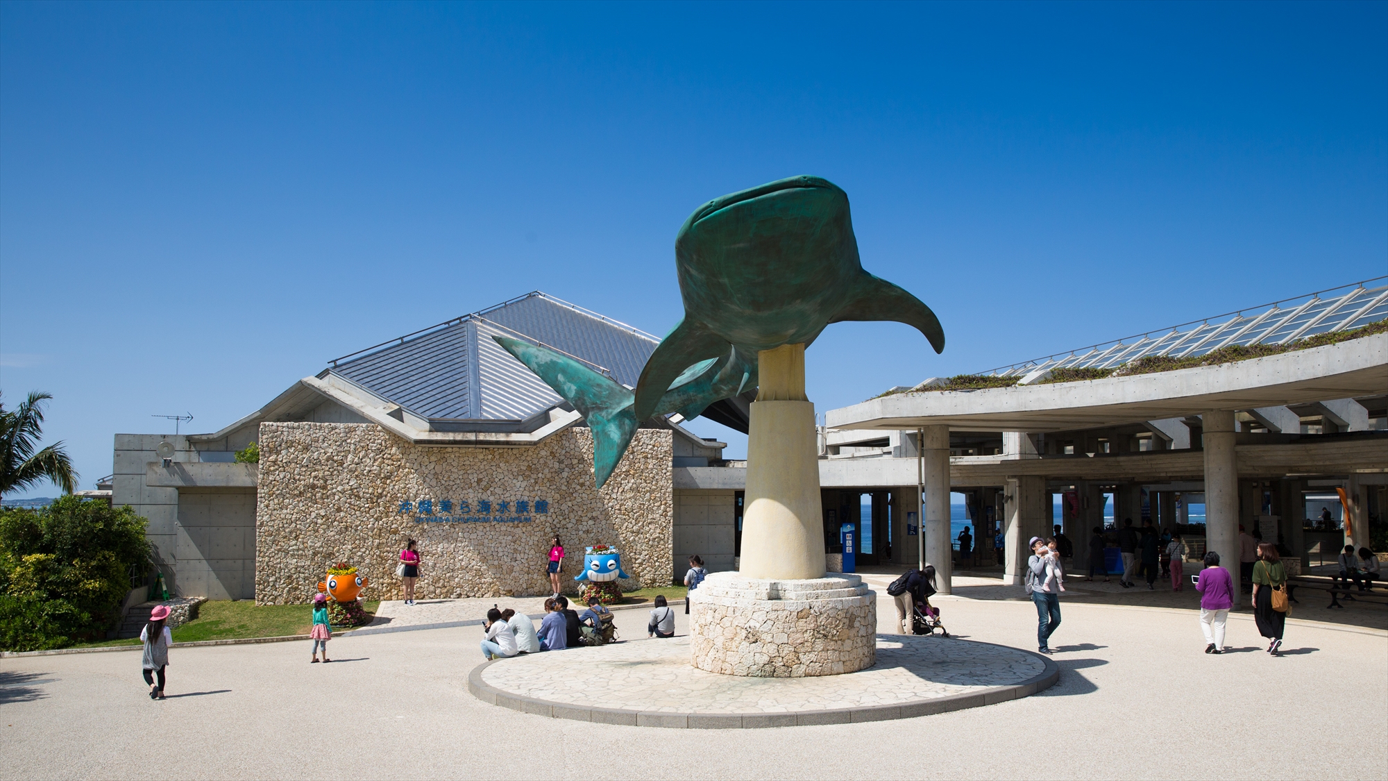 美ら海水族館まで35分