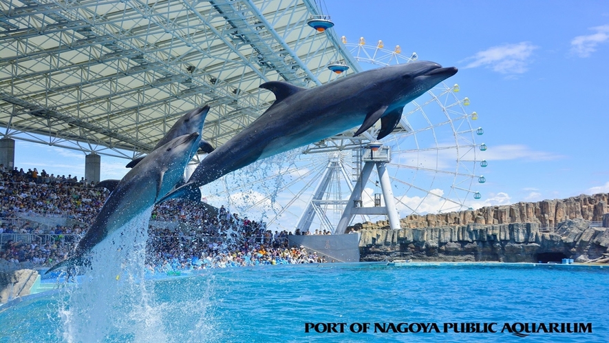 名古屋港水族館　イルカパフォーマンスは圧巻！