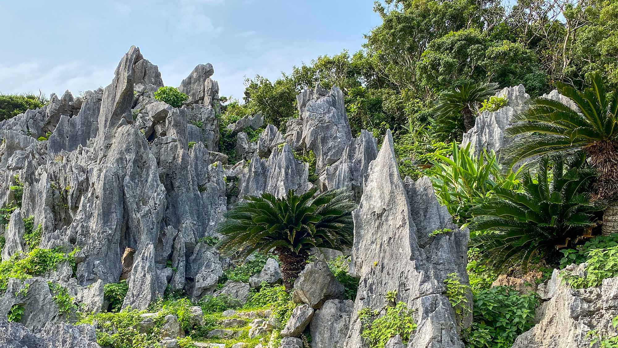 ・沖縄本島最北端の辺戸岬近くにある国立公園『大石林山』までは宿から車で約1時間