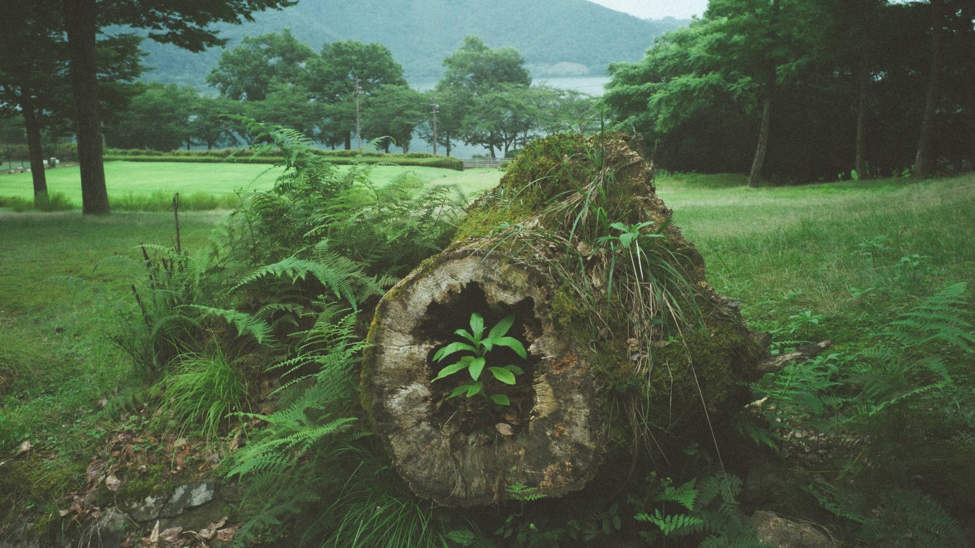 【SOWER 2食付】奥琵琶湖で湖北の食を愉しむオーベルジュプラン